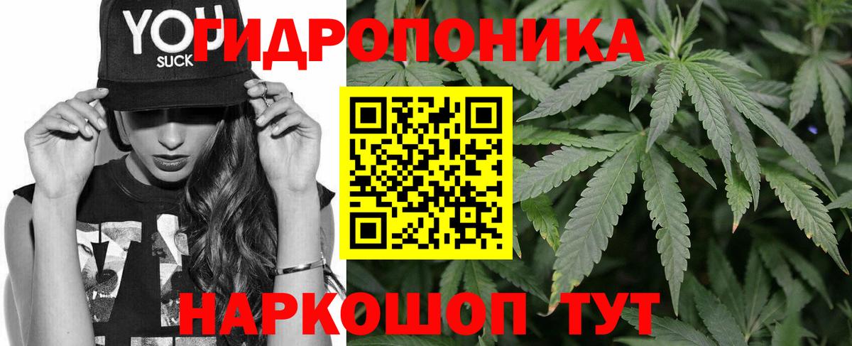 Канабис семена Джанкой